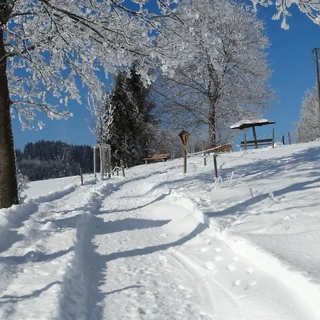 Apartmán Alpenstern *