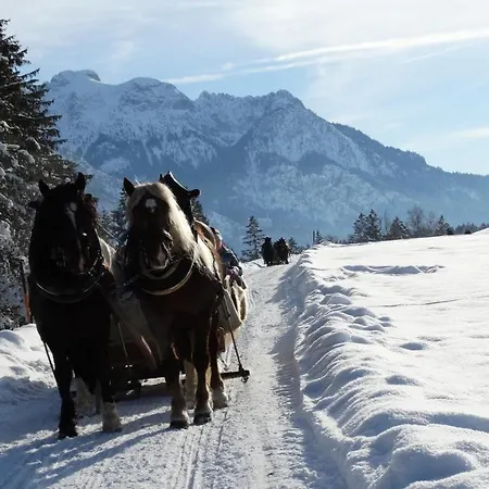 Alpenstern Apartmán *