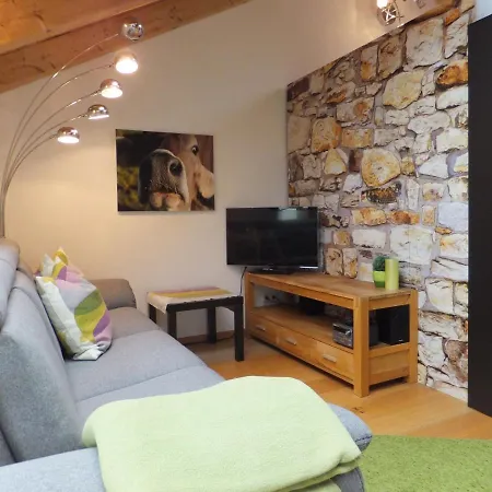Alpenstern Apartment