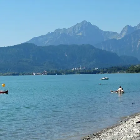 Alpenstern *