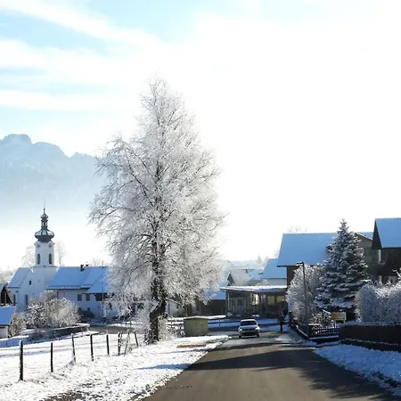 Alpenstern *