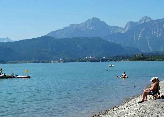Alpenstern *