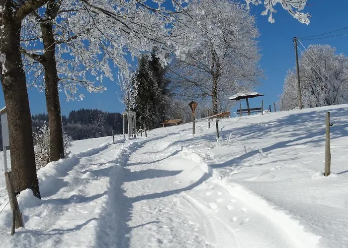 Apartmán Alpenstern *