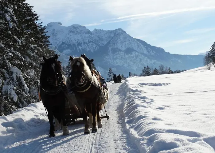 Alpenstern Apartmán *